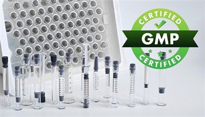 Apa yang perlu GMP dalam industri farmaseutikal memberi perhatian ketika mela...